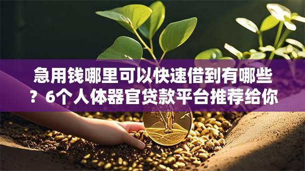 急用钱哪里可以快速借到有哪些?6个人体器官贷款平台推荐给你 急用钱哪里可以快速借到有哪些?6个人体器官贷款平台推荐给你