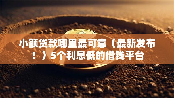 小额贷款哪里最可靠（最新发布！）5个利息低的借钱平台