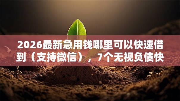 2026最新急用钱哪里可以快速借到(支持微信),7个无视负债快速下款长期网贷的口子无私分享 2026最新急用钱哪里可以快速借到(支持微信),7个无视负债快速下款长期网贷的口子无私分享