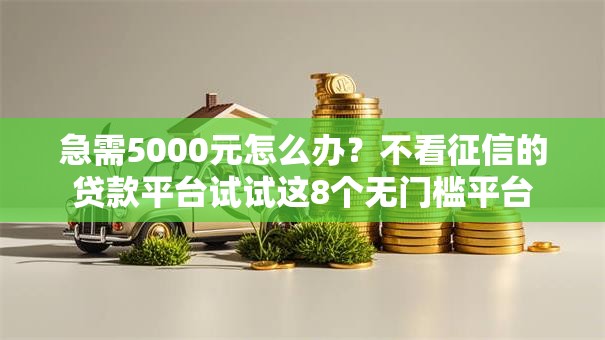 急需5000元怎么办?不看征信的贷款平台试试这8个无门槛平台 急需5000元怎么办?不看征信的贷款平台试试这8个无门槛平台