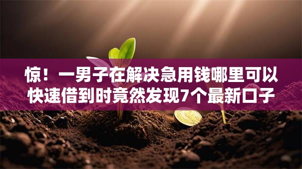 惊！一男子在解决急用钱哪里可以快速借到时竟然发现7个最新口子，事后分享了出来