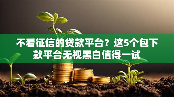 不看征信的贷款平台？这5个包下款平台无视黑白值得一试